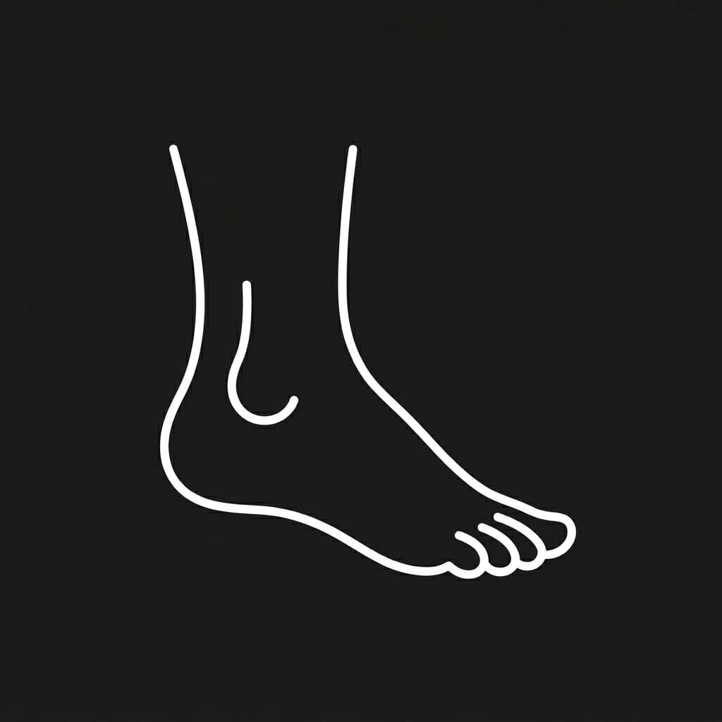 Ankle