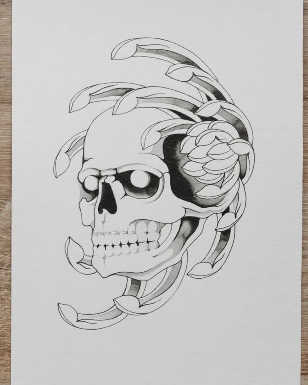 Pencil sketch of a skull surrounded by curved botanical leaves on white paper